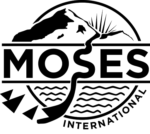 Moses International Inc logo